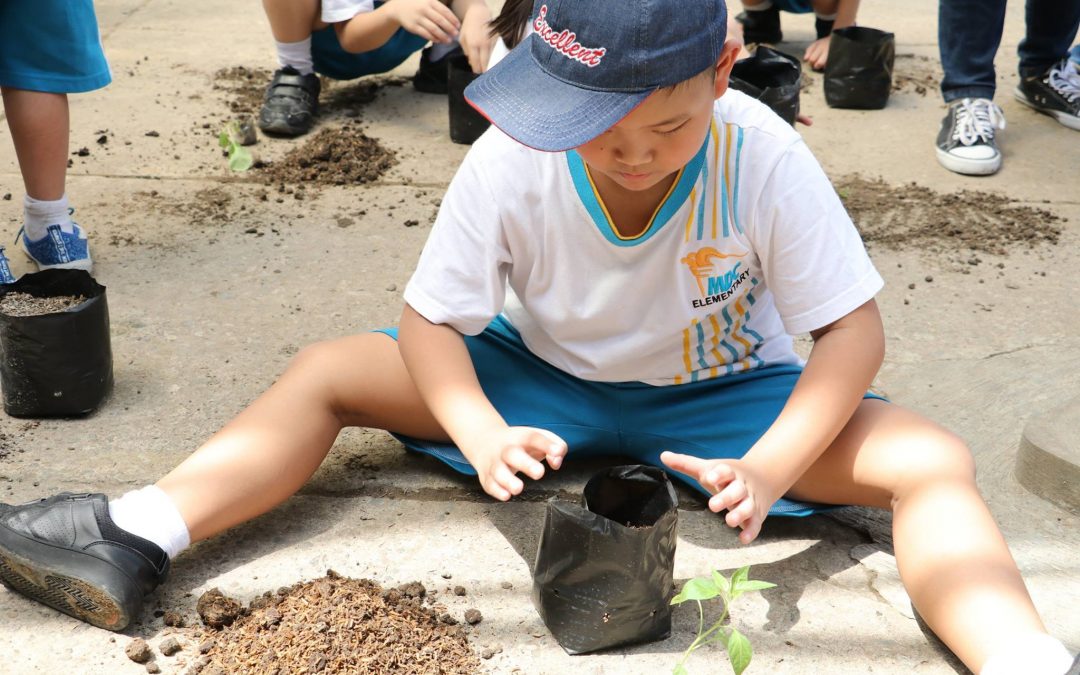 Study Tour Grade 1 at Agrowisata Puspa Lebo